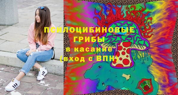 apvp Алзамай