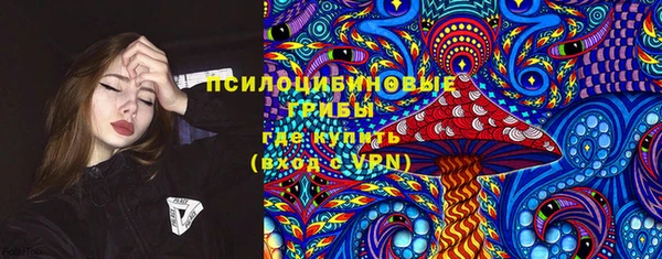 apvp Алексеевка